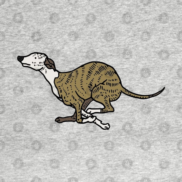 Whippet illustration by JennyGreneIllustration